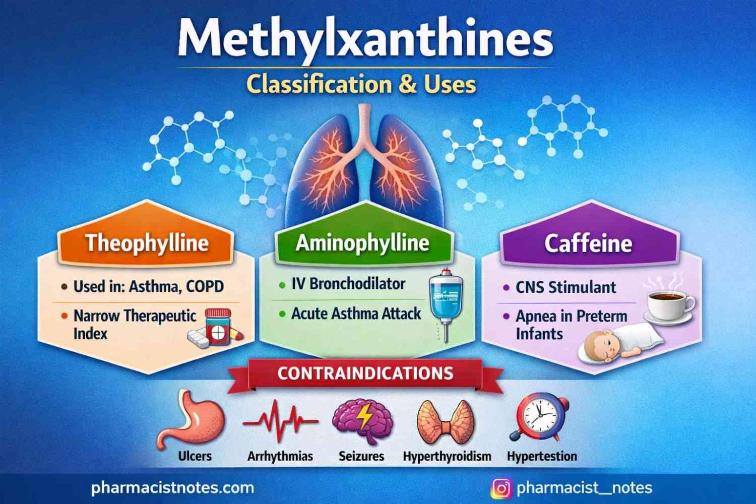 Methylxanthines pharmacology